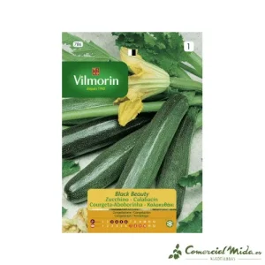 CALABACIN BLACK BEAUTY Vilmorin sementes 7g