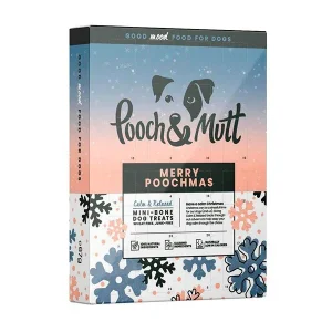 Calendário do Advento vira-lata