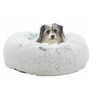 CAMA “HARVEY”