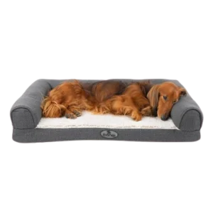 Cama Ortopédica para Cães