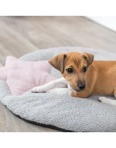Cama para Cachorro - Colchão Fino com Estrela Rosa