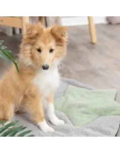 Cama para Cachorro - Colchão Fino com Estrela Verde