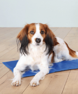 Cama para cães e gatos Trixie Manta Refrescante