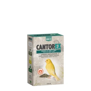 CantorEx - sementes de sa煤de e canto