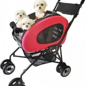 Carrinho Buggy 5 em 1
