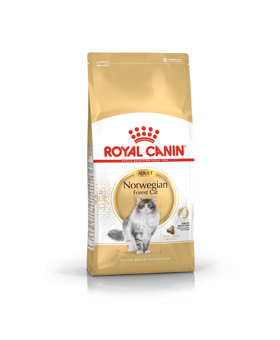 Cat Norwegian Forest Adult – Royal Canin