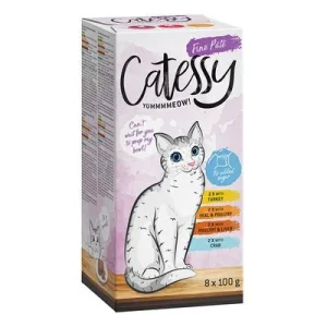 Catessy em terrinas 64 x 100 g - Pack misto