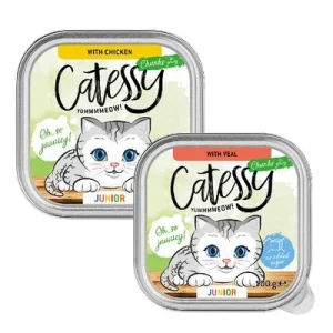 Catessy Junior em molho - Pack misto