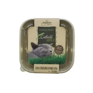 Catfield Green Cat – Erva natural para gatos em vaso compostável