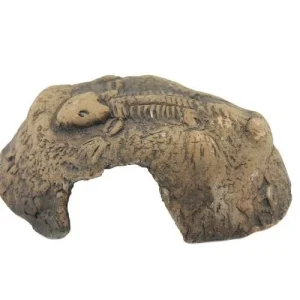 CERAMIC NATURE FOSSIL STONE BRROWN S 14CM