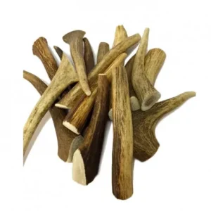 Chifre de Veado – Tamanho: XS