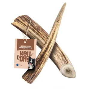 Chifre de Veado Vermelho Natural para Cães Wildkraft – Snack Duradouro para Higiene Dentária | Kaudas