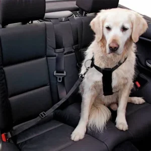 Cinto de segurança para cães – Kerbl – Tamanho: L
