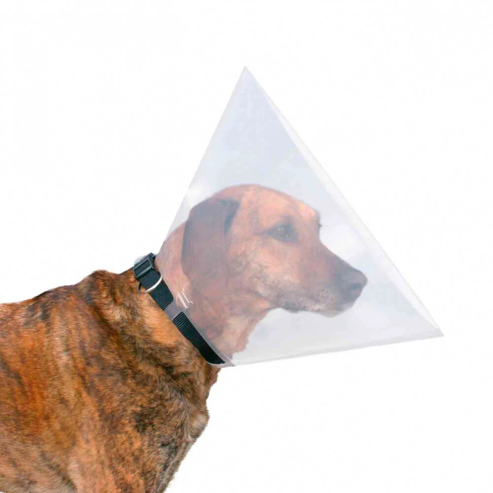 COLAR ISABELINO - Image 2