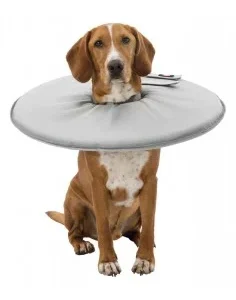 Colar Isabelino Flexível para cães