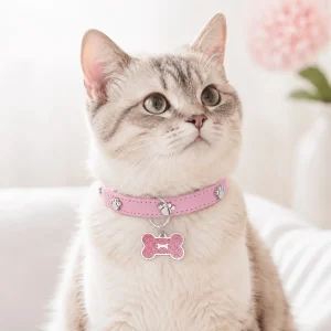 Coleira Ajustável com Pendente de Osso — Cão e Gato