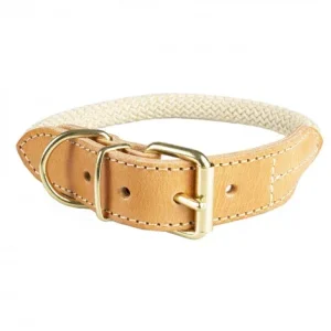 Coleira Explor Forest para cão – Duvo Plus – Cor do Produto: Bege | Medidas: 41-49 cm/14 mm