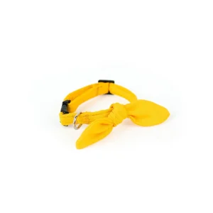 Coleira Gato Amarelo Solare