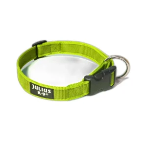 Coleira Julius K9 Neon para Cães