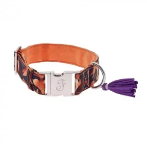 Coleira Kami Com Padrão Floral Laranja Para Cão – Ferribiella