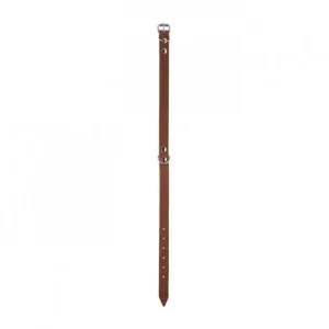 Coleira Mexica para cães – Kerbl – Cor do Produto: Taupe | Medidas: 22-28 cm/10 mm