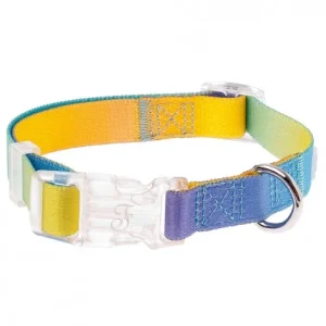 Coleira Motif Rainbow para cães – Ferribiella – Tamanho: L