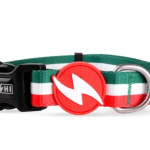 COLEIRA STRIPES³ GREEN & RED