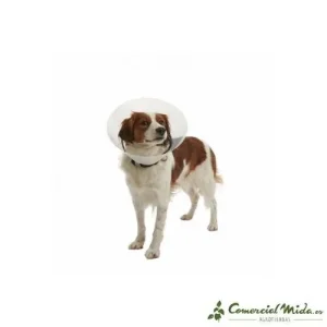 Coleira transparente KRUUSE Buster Click Elizabethan para cães