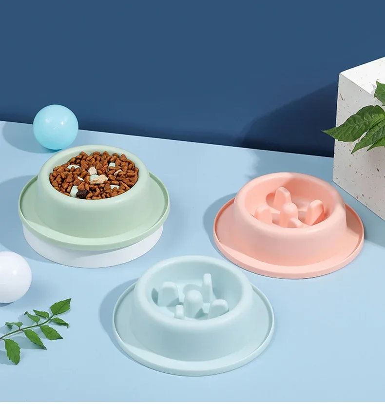 Comedouro de Alimentação Lenta para Cães e Gatos