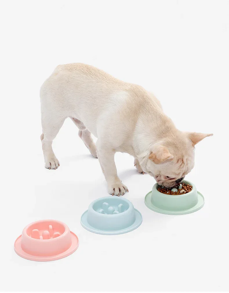 Comedouro de Alimentação Lenta para Cães e Gatos - Image 2