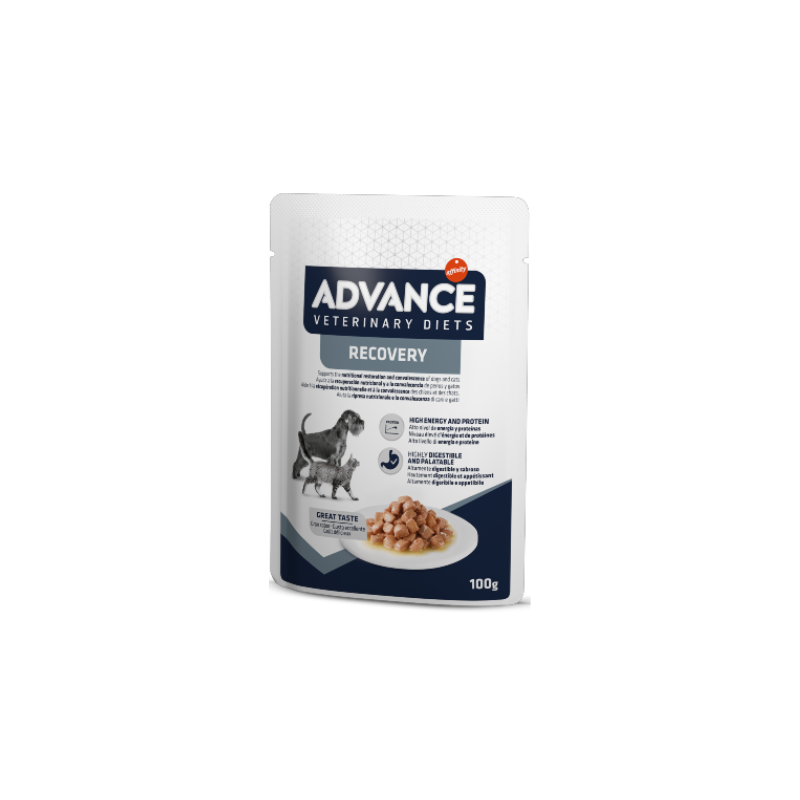 Comida húmida para cães e gatos Advance Vet Dog & Cat Recovery Wet Saqueta 11 x 100 g
