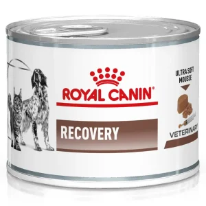 Comida húmida para cães e gatos Royal Canin Recovery Canine & Feline – Lata – 12 x 195 g