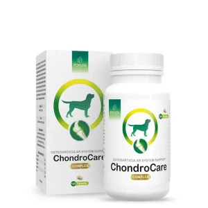 Comprimidos para Suporte Articular em C茫es Adultos 鈥?Glucosamina, Condroitina e Boswellia Serrata 鈥?F贸rmula Avan莽ada para Mobilidade 鈥?ChondroCare 鈥?ChondroLine
