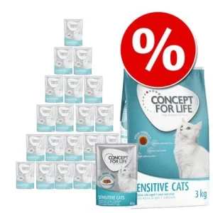 Concept for Life: 3 kg ração + 24 x 85 g comida húmida em molho - Pack misto