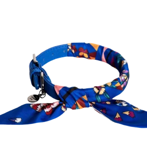 Conjunto Coleira + Trela Hop Violeta