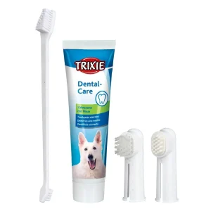 Conjunto de Higiéne Dentária para Cães