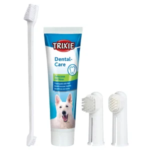 CONJUNTO DE HIGIENE DENTÁRIA PARA CÃES