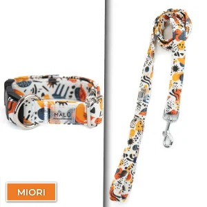 Conjunto Dibase