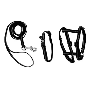 Conjunto para Gato 3 em 1 com Coleira, Peitoral e Trela
