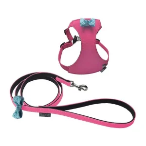 Conjunto Peitoral + Trela Ferribiella Rosa M