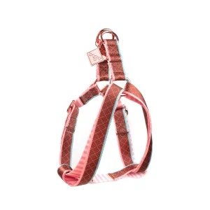 Conjunto Peitoral + Trela Paris Dog.U