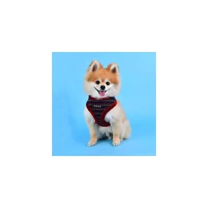 Conjunto Peitoral + Trela Puppia