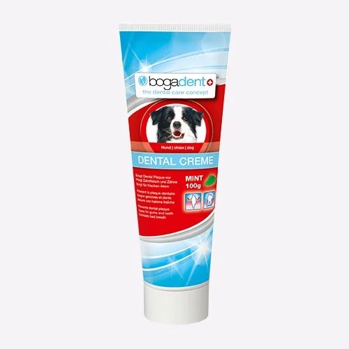 Creme Dentário 100gr – Bogadent