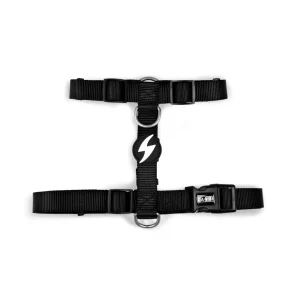 Dashi Solid Colors – Arneses para Cães – Black