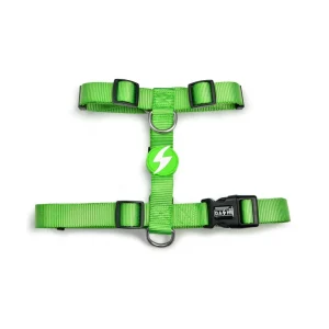 Dashi Solid Colors – Arneses para Cães – Green