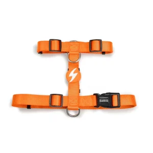 Dashi Solid Colors – Arneses para Cães – Orange
