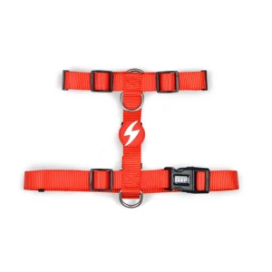 Dashi Solid Colors – Arneses para Cães – Red