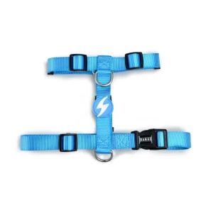 Dashi Solid Colors – Arneses para Cães – Sky Blue