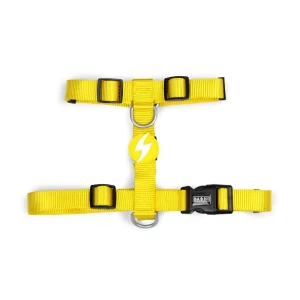 Dashi Solid Colors – Arneses para Cães – Yellow