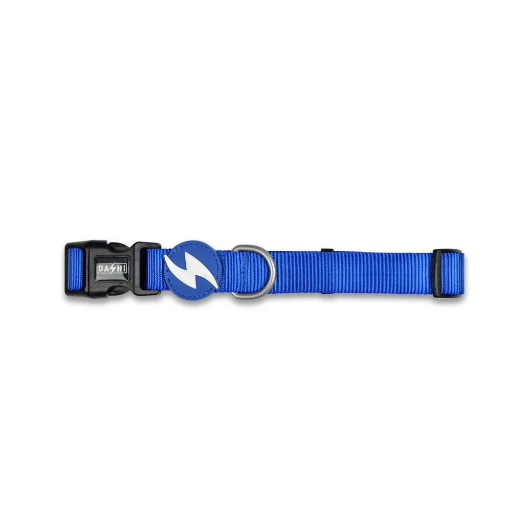 Dashi Solid Colors – Coleiras para Cães – Blue - Image 2